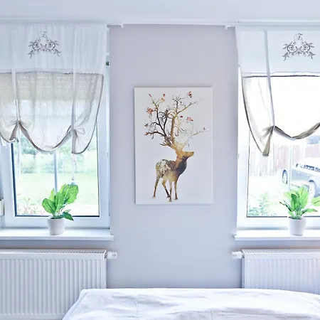 Gutshof Zum Appartement Kläden